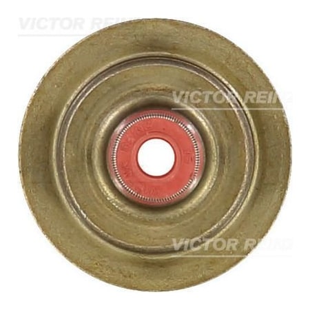 Reinz V/Stem Seal, 70-36497-00 70-36497-00